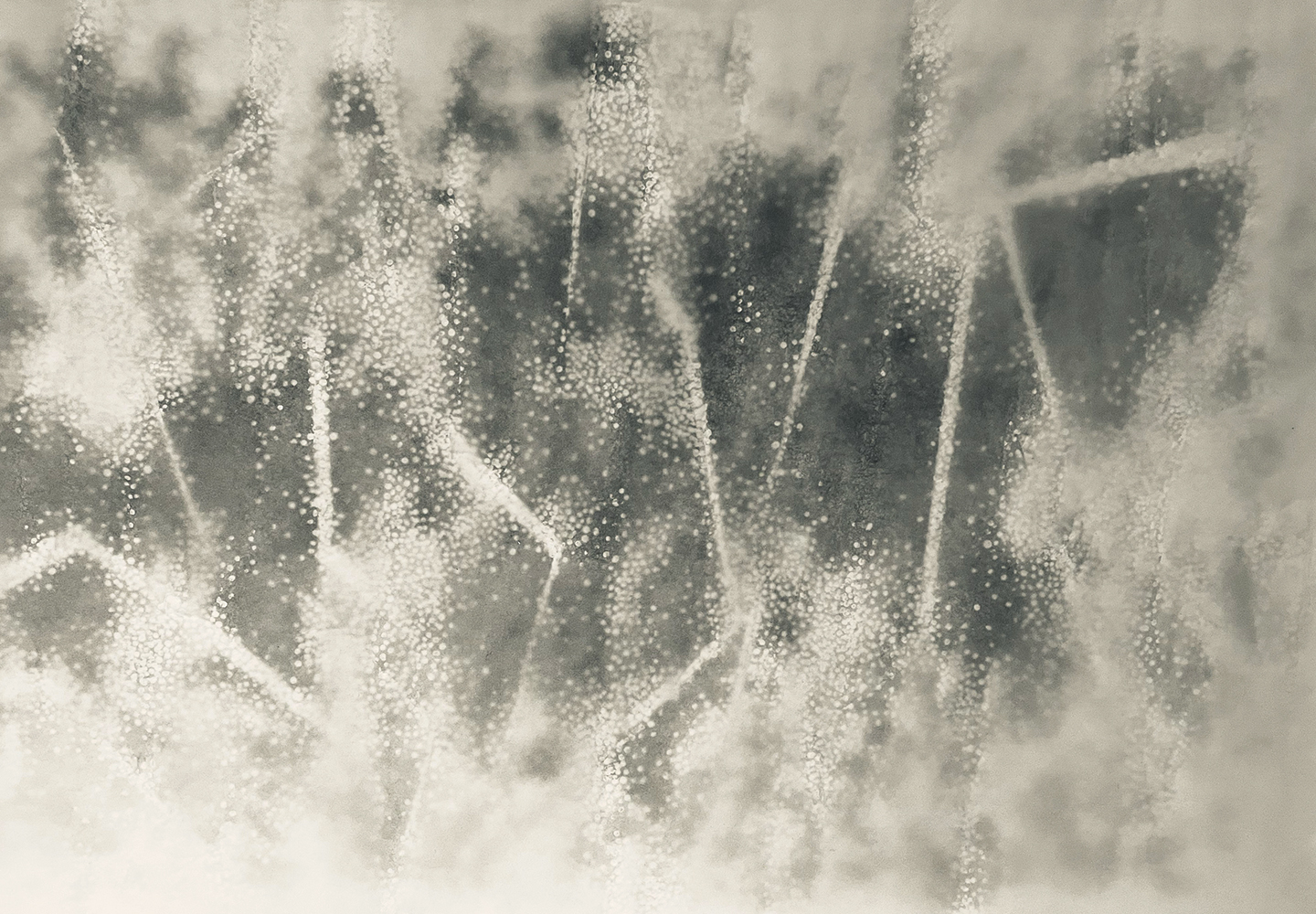 Lili Maya - Of the Measurable and the Unmeasurable